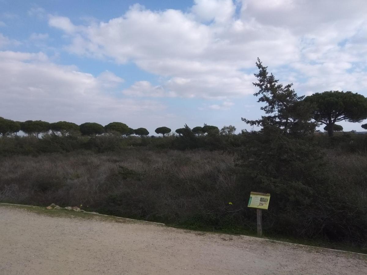 Ferienwohnung Tu Denscanso En Valdelagrana Frente Al Mar El Puerto de Santa María Exterior foto